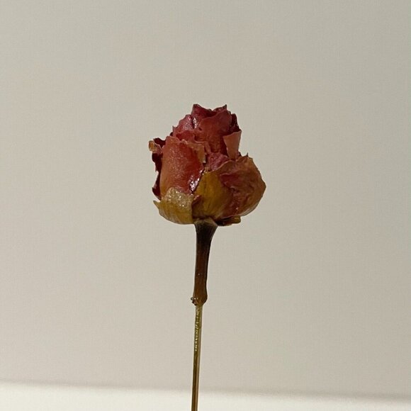 Vintage Dried Rose Bud Lapel Stick Pin - Picture 7 of 13